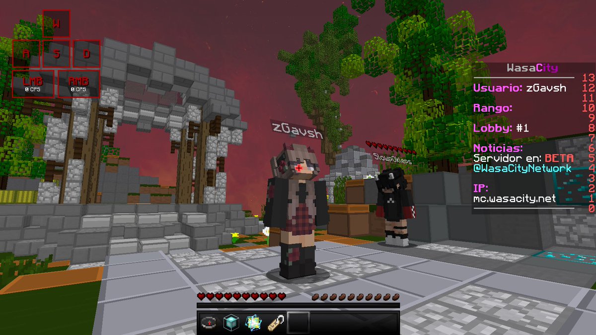 ZGavsh's tweet photo. The best server is Back @WasaCityNetwork @WasabiiGirl https://t.co/X17eZYSbhq