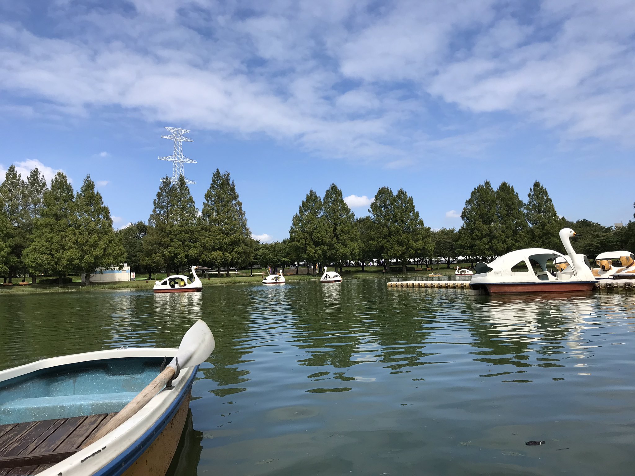 公式 川越水上公園 9月15日ボート営業中 ボートを営業しています さわやかな陽気で きもちよく過ごせそうな日ですね ぜひご来園ください 営業時間 10 00 16 00 川越水上公園 Kawagoe ボート レジャー 秋 スワンボート T Co