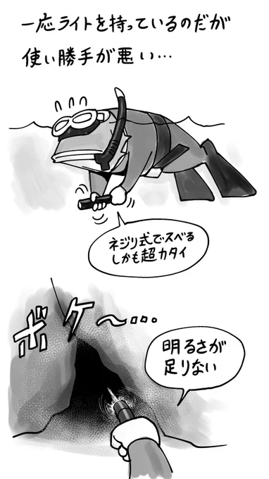 まだ海で試していません。
#銛ガール #魚突き 