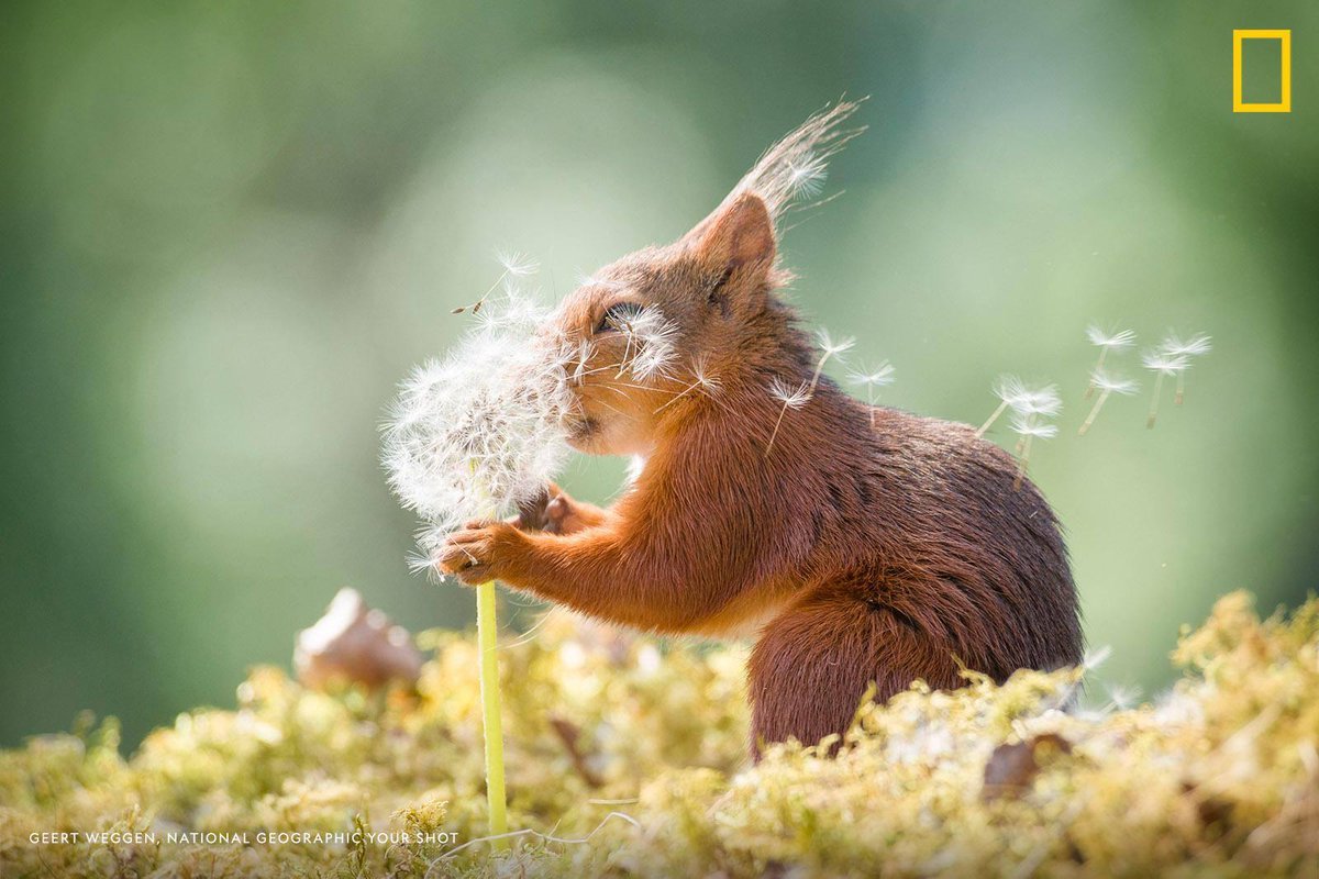 Nat Geo Travel tweet media