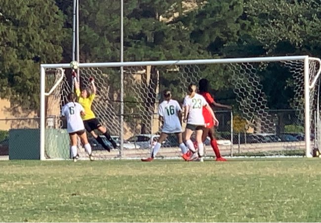 Addy Williams tweet media