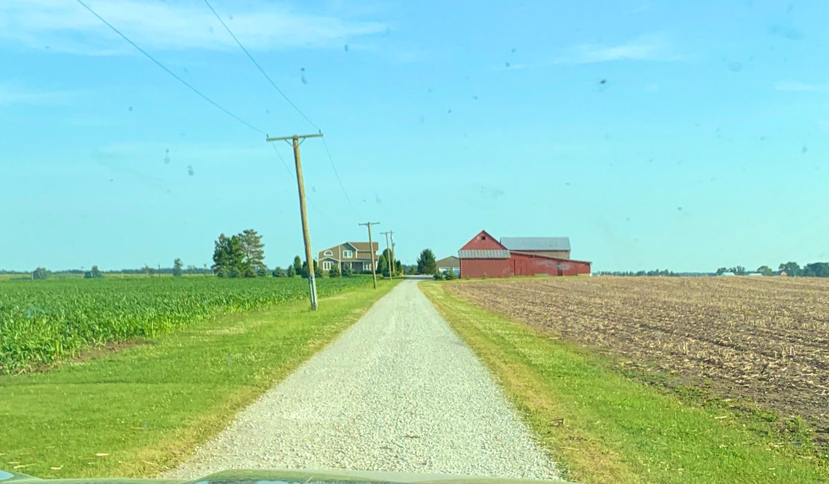 Aryn Davlin tweet media