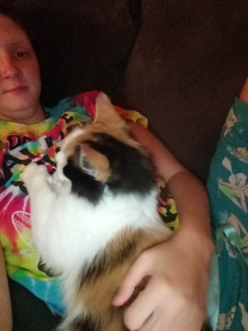 My other pretty lil brat https://t.co/qIoQY4nUm3