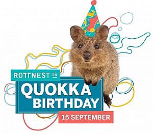 Willy Quokka (@WillyQuokka) | Twitter