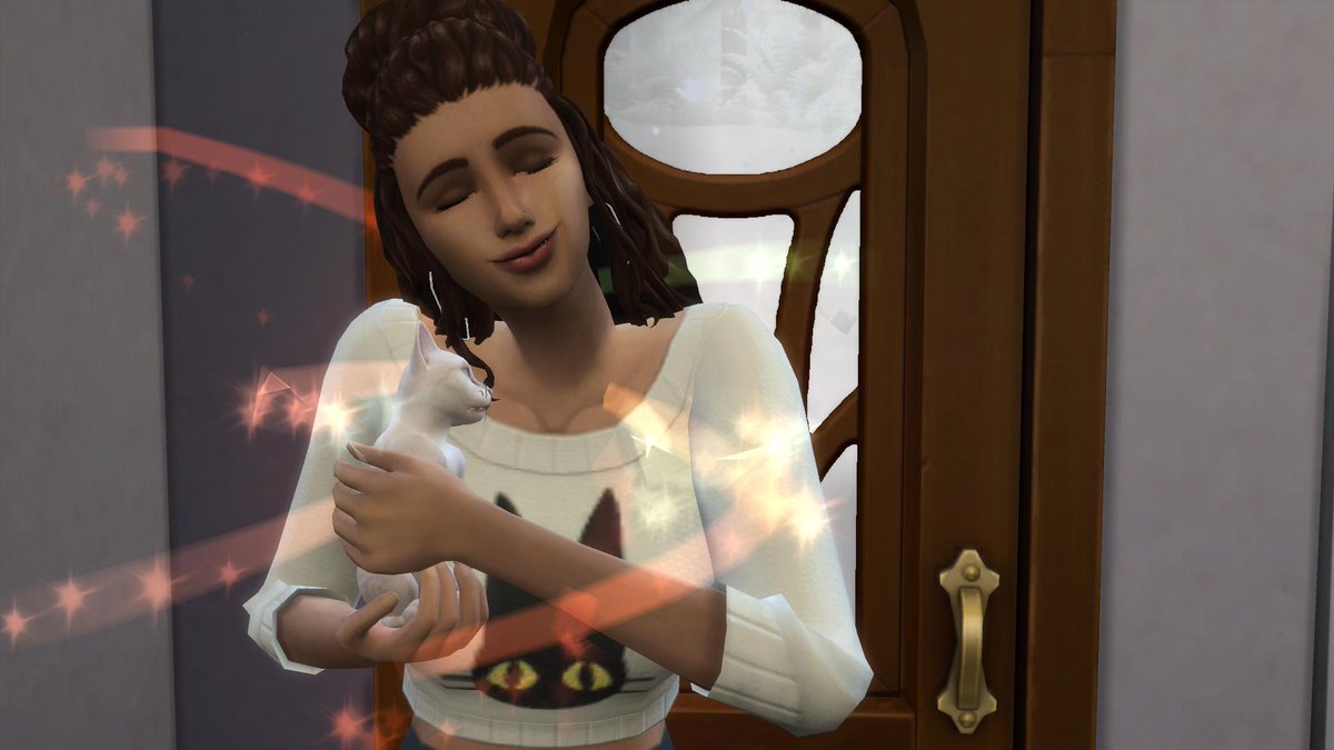 AlbaWulfric's tweet photo. My witch needs her cat. And yes, we adopted the one named PUMPKIN. We. Are. Basic. #KeepingUpWithThePerrys https://t.co/wnLtlpGrTX
