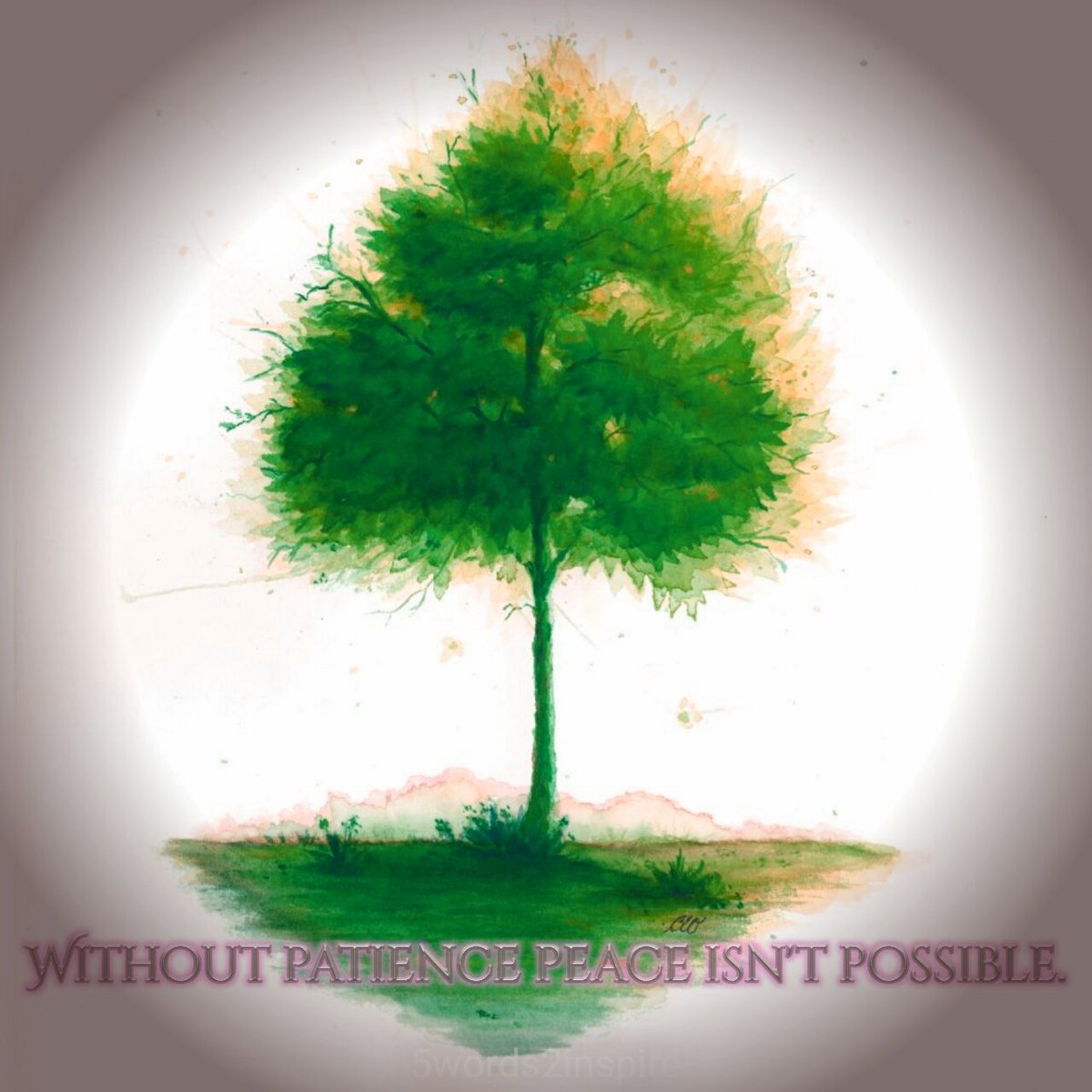 5words2inspire's tweet photo. Without patience peace isn't possible. 
•
Without peace what is there left to be patient for?
— Lama Karma

@VenRahula @DrGemma https://t.co/kNKy3Nz7m8