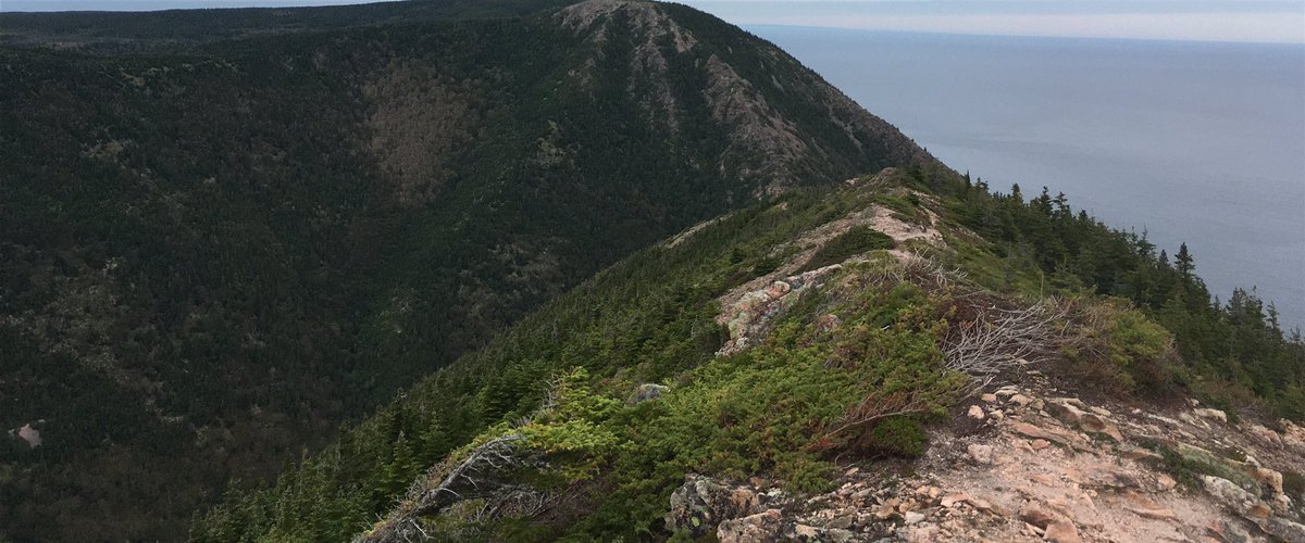 kathywasson70's tweet photo. Some amazing hikes today at Meat Cove, NS and Kauzmann Trail in Northern CB. Death defying drives and incredible views you just can't put into words. We'll never forget this day #Goddessweekend https://t.co/ag5sNhaSYQ