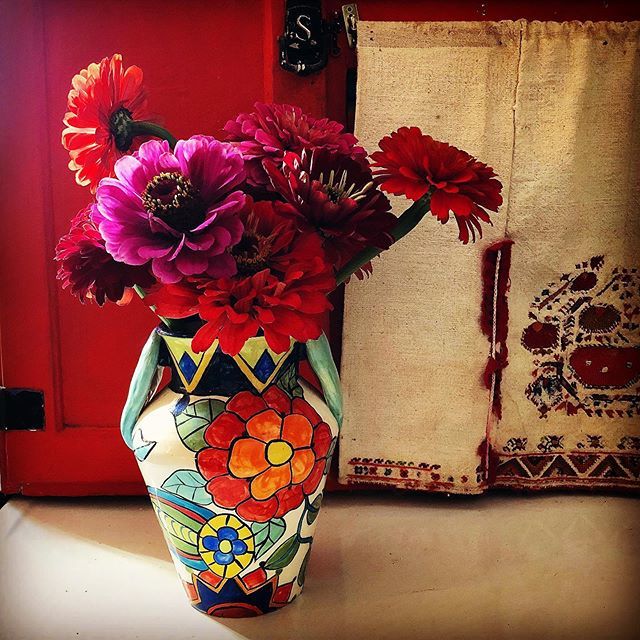 kristinnicholas's tweet photo. Day 42/100- My zinnias are gorgeous now. Haven’t had a lot of time to harvest them but forced myself the other day. Here they are in one of my vases from the 90’s. #100daysofvases #100dayproject #100daychallenge #pottery #earthenware #kristinnicholaspott… https://t.co/x51b3ec8Gj https://t.co/tlfKYSmFN8