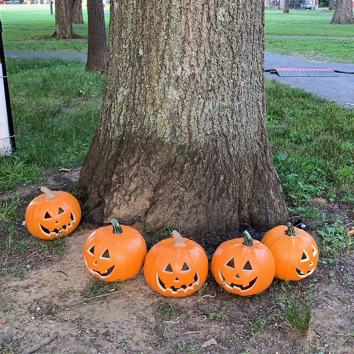 HH_Magazine's tweet photo. Happy Saturday to all my lil pumpkin friends 🎃 #pumpkin #salemcommon #hubiehalloween #salemma365 #sendingsalem #hhmagazine #fall #october #hauntedhappenings https://t.co/xWHMDSNTCF
