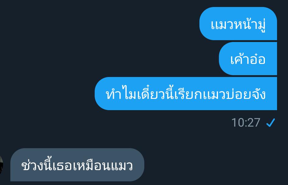 kinkkatakrite's tweet photo. เค้าเหมือนแมวไปแล้ว ._.
#��ีฟอลพรี  #รีฟรีฟลอ #บอทใหม่ https://t.co/jh4mnSOQm3