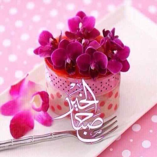 ح ح ح (@4nikzqvjrlkdsvn) on Twitter photo 