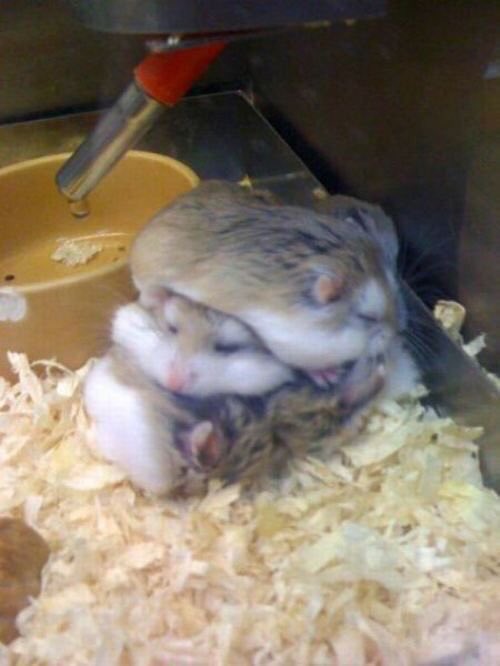 gnanixhamster's tweet photo. #4EverWith7KON https://t.co/XS3Zewdopf