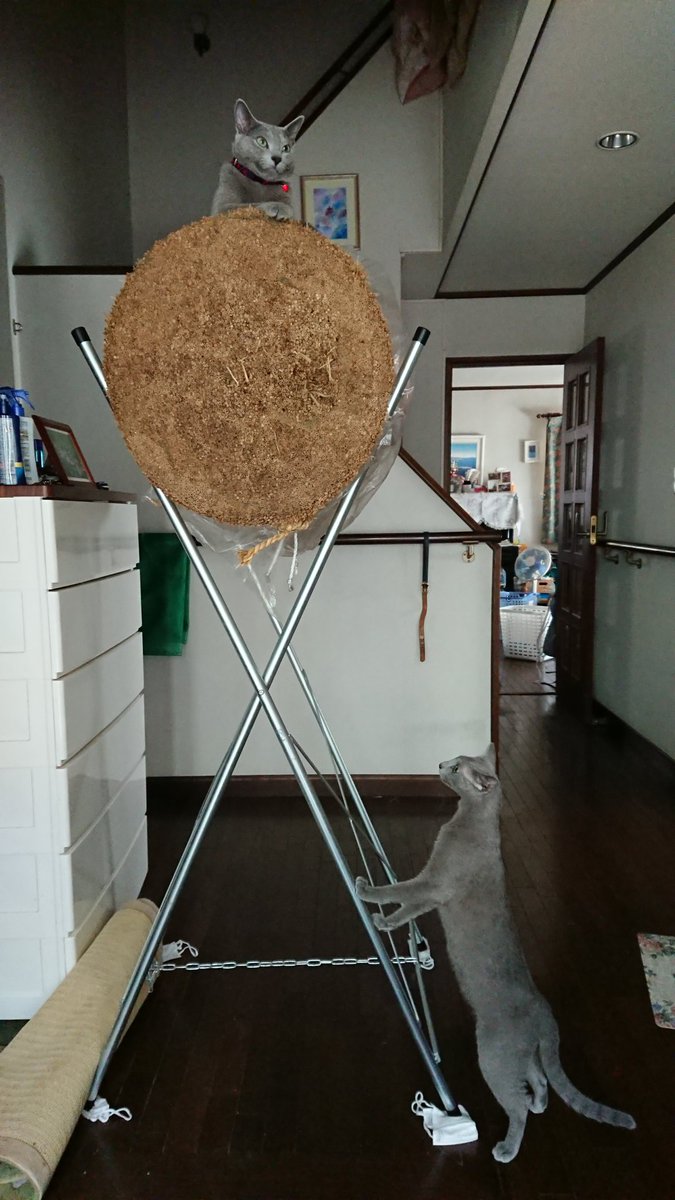 巻藁