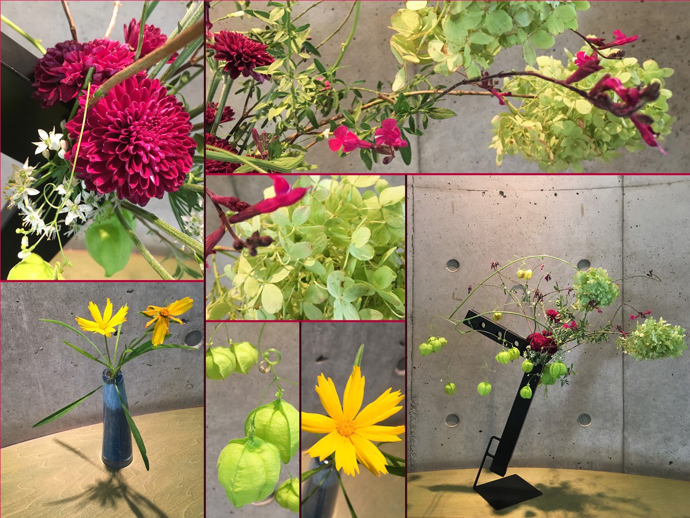 水戸市立西部図書館 No Twitter 今週の迎え花 一輪挿しの黄色い花はキンケイギク 大きな生け花は赤紫のキク 丸い 形のフウセンカズラ 穂状に咲いた赤紫の花はチェリーセージ 白い星のような小花はニラ 黄緑のアジサイのような花はノリウツギです フウセンカズラ