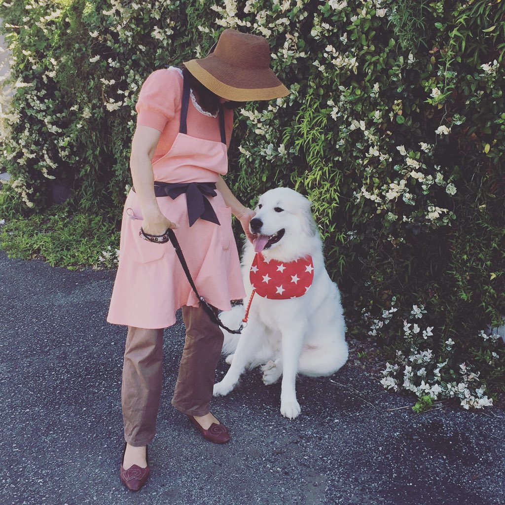 瀬形愛犬しつけ教室 か弱い女性の力でも お散歩に行けるようにお互いの気持ちを理解するレッスン 力で抑え込まず 上手にレッスンをしていただけました グレートピレニーズ 大型犬 超大型犬 真っ白 犬 大阪市 豊中 箕面 ドッグトレーナー