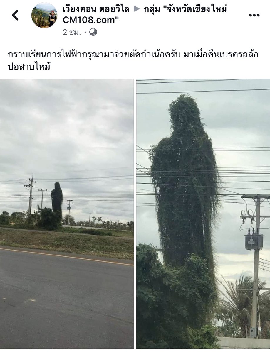 บอบอ บอโบ๊ท tweet media
