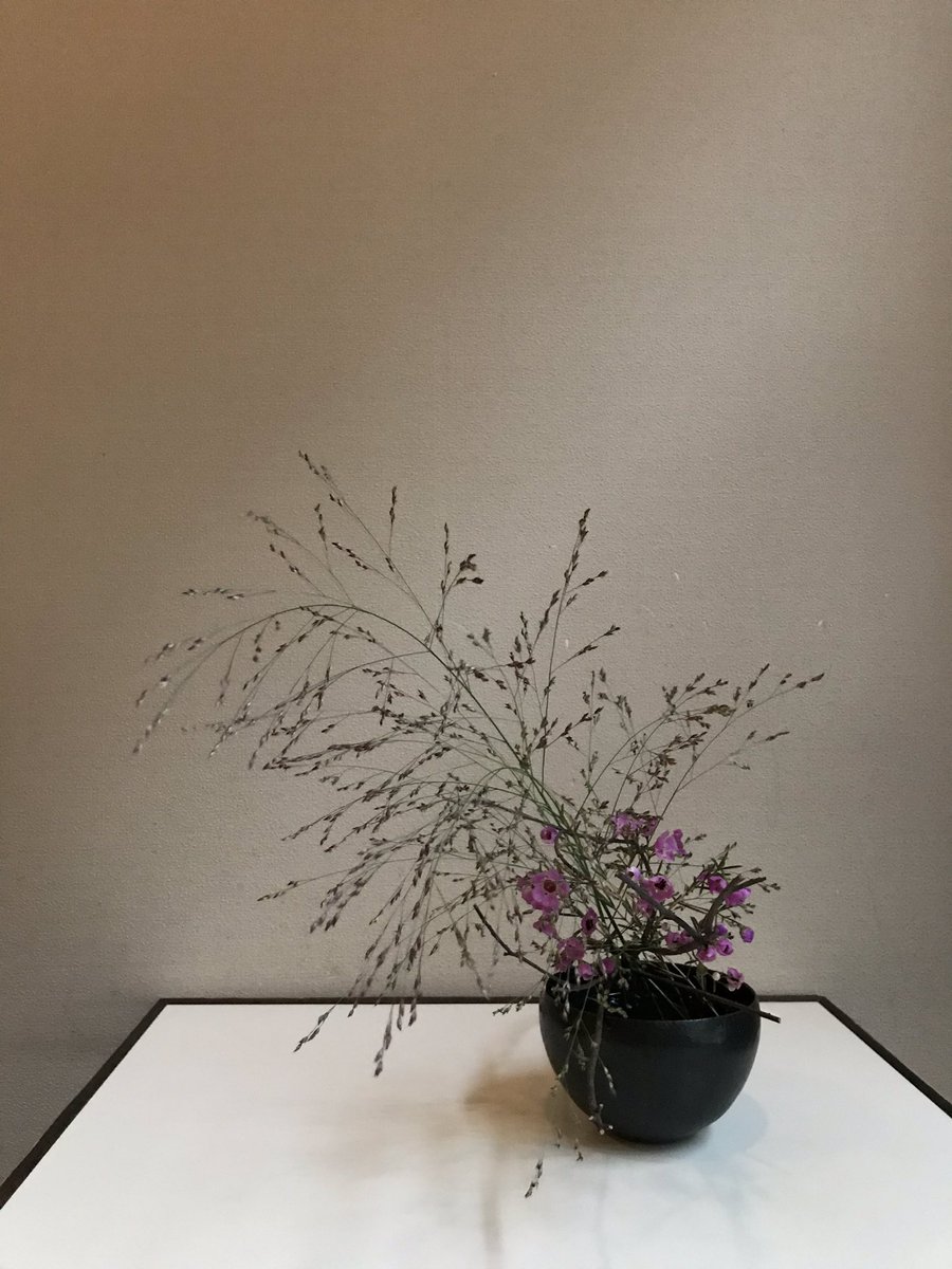 吉田直嗣 吉田直嗣