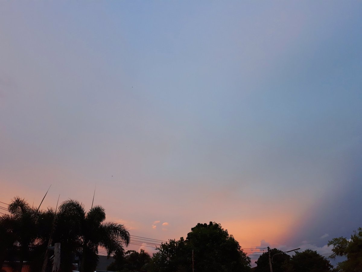 Cichance's tweet image. ถึงวันนั้น..ถ้ายังไม่แหลกสลายหรือยังมีหวังอยู่สัญญาว่าจะกลับไปใช้ชีวิตนะคะ 🐋🍀