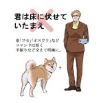 ムスカが犬を飼った結果？犬がすごい困ってる!