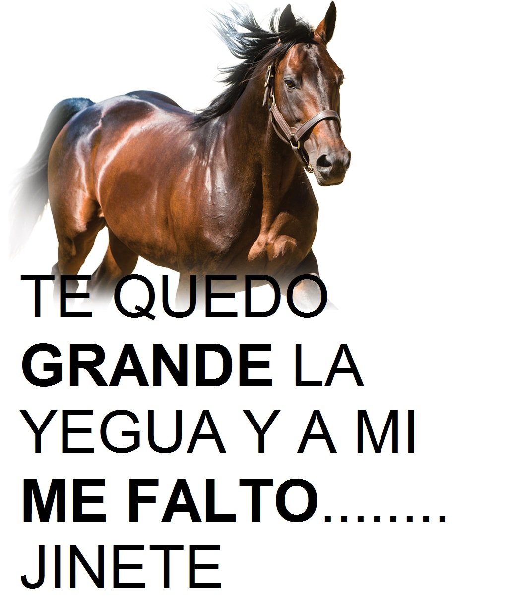 Infielpornecesidad On Twitter Te Quedo Grande La Yegua Y Ami Me Falto Jinete Infielpornecesidad Inxne Infiel Https T Co Lgwglvwfpx Twitter