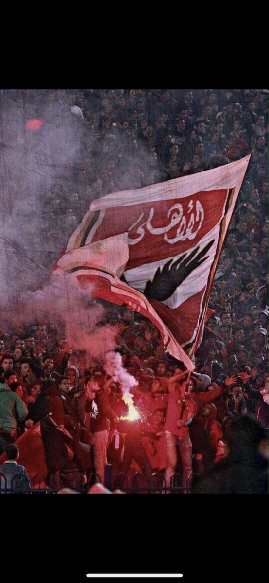 Mohammed Mowafy (@11f86715ba384ea) on Twitter photo 