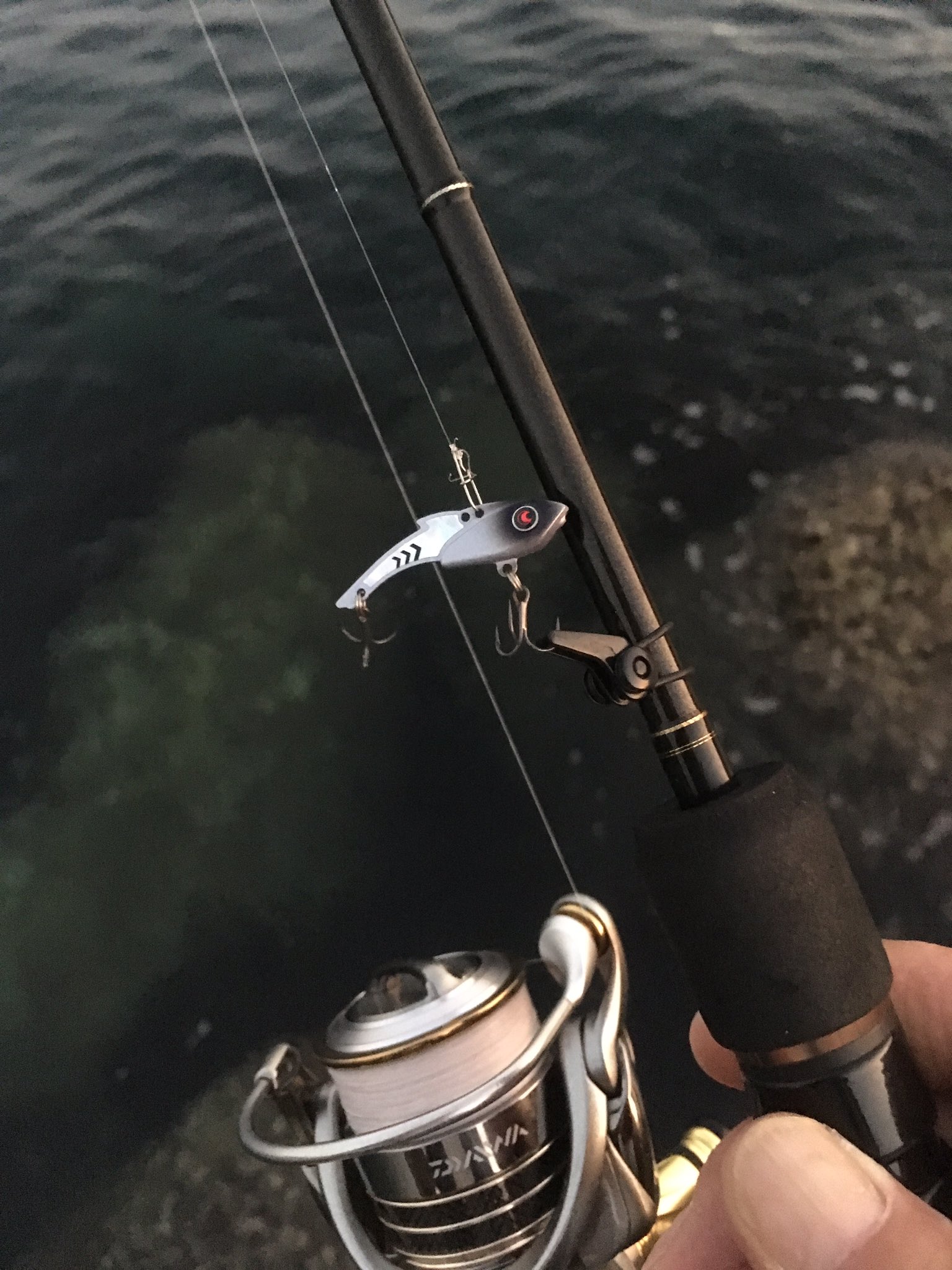 Ajinotomo Pa Twitter 帰宅 大潮干潮潮止まりin そりゃ潮が動き出したらポコポコ釣れるはず 1g 10にmaccam 回遊は1度きり 釣果も1匹だけ 日増しに釣果悪くなる 考えなきゃ Dreemup Maccam Daiwa 月下美人小鉄 アジング 鯵 アジ Karatsuri