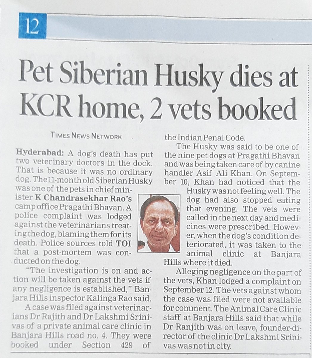 ankitgoel's tweet photo. In addition to being blatant #abuse of #power by a government office, this is outrageously stupid! Who let him to keep a SIBERIAN Husky in a hot city like Hyderabad in the first place? This breed is meant for places with  cold climate only... #pooranimal #crueltyagainstanimals https://t.co/VL7CjOExIR