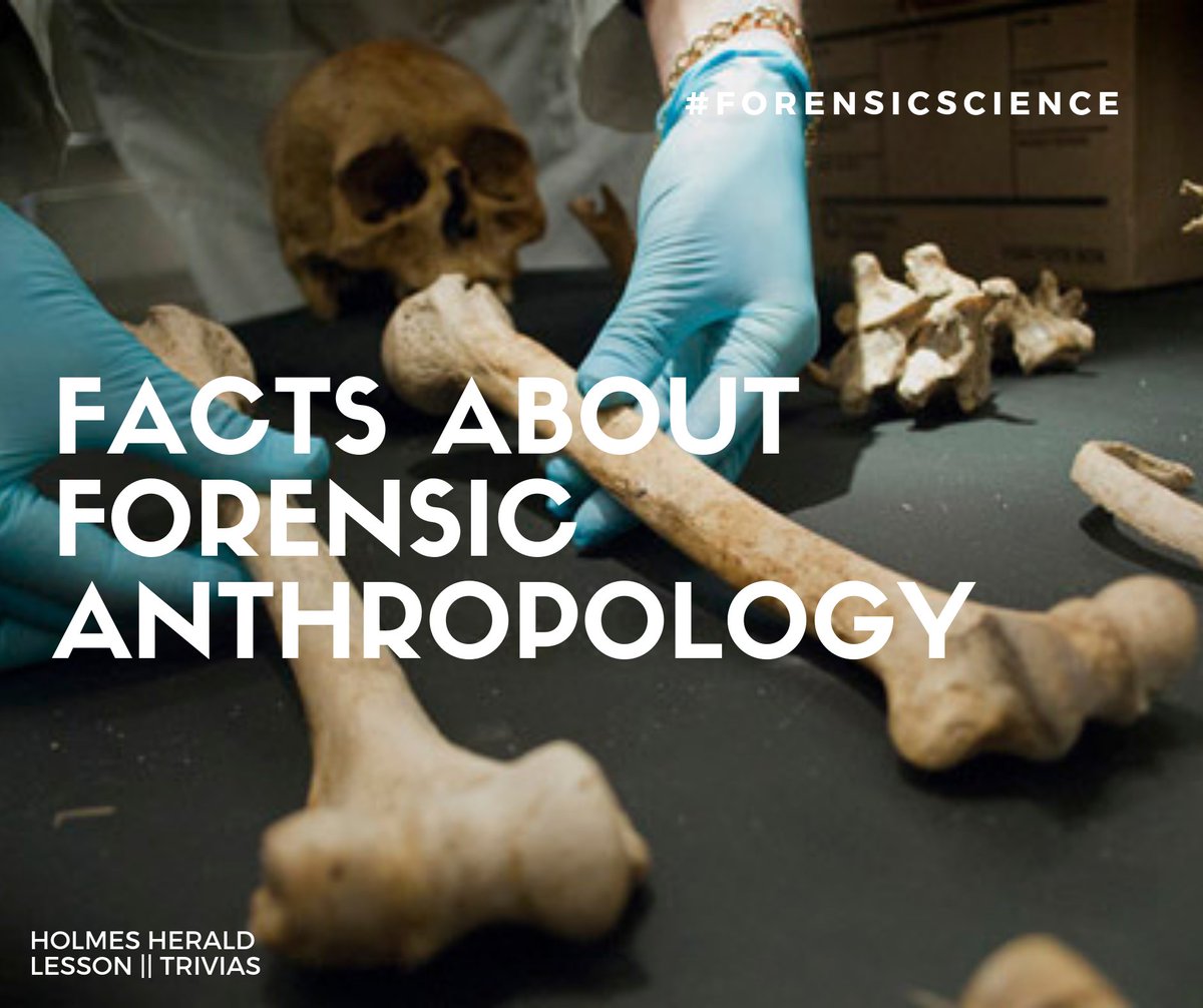 holmes_herald's tweet photo. #FSC4 : DEATH INVESTIGATION
#FSC4L2 || Role of Forensic Anthropologist

https://t.co/RhzvnBYTSB https://t.co/tGGmsALTUH