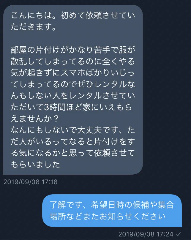 これぞ理想形ｗｗｗレンタルなんもしない人さんへの依頼内容ｗｗ
