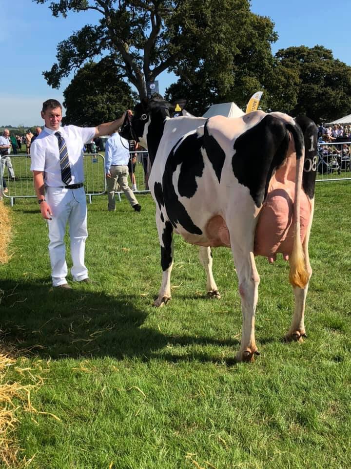 cogentbreeding's tweet photo. Congratulations to Larchwood Holsteins on winning Supreme Champion at the Usk Show with Chequers DIEGO Ebony 3 VG89.
🏆🐄🏅
#ShowSuccess #BeProfitableBeCogent https://t.co/RJreA1yniO