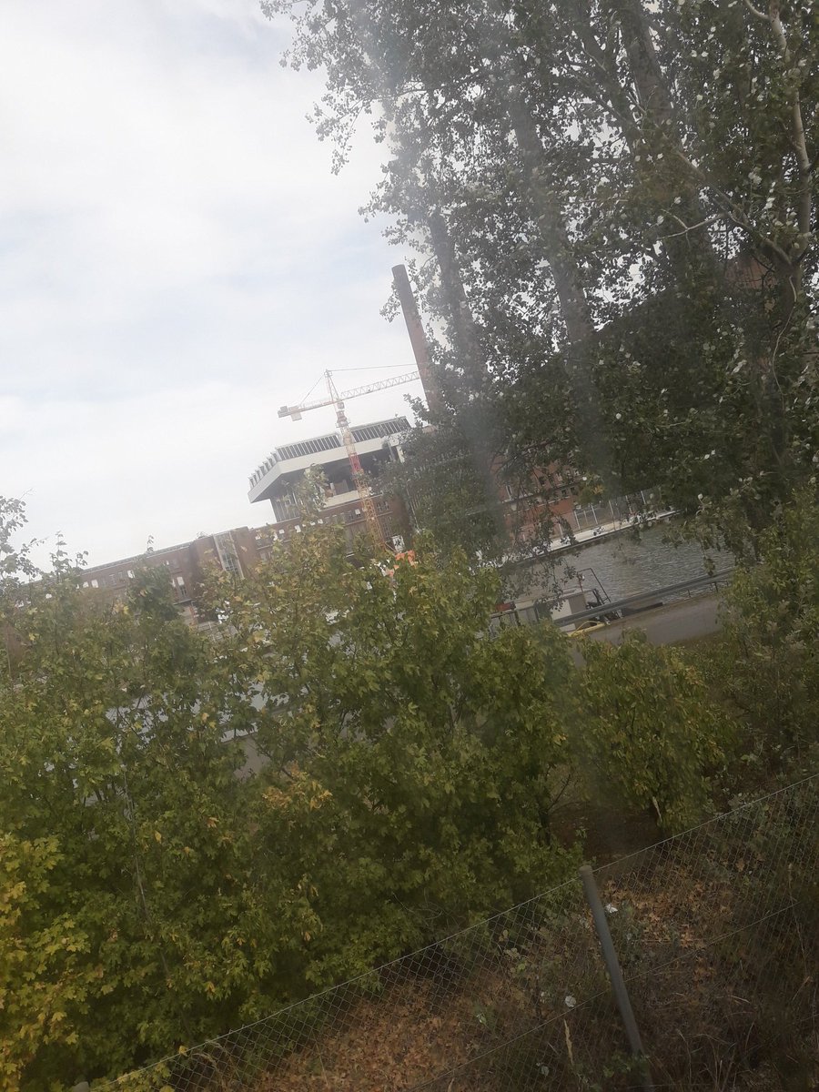 EinMurmeltier's tweet photo. Hallo #HWOB heute mit -4.
#Murmelpolitan https://t.co/wTuLZRKf0u