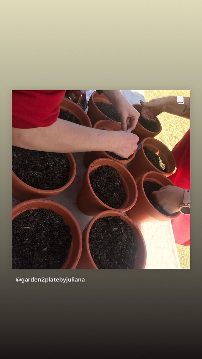 Los_Chiquititos's tweet photo. #stepupfordownsyndrome2019#bunnings#haarsnursery#amazingcause https://t.co/0z8DQCKUb5