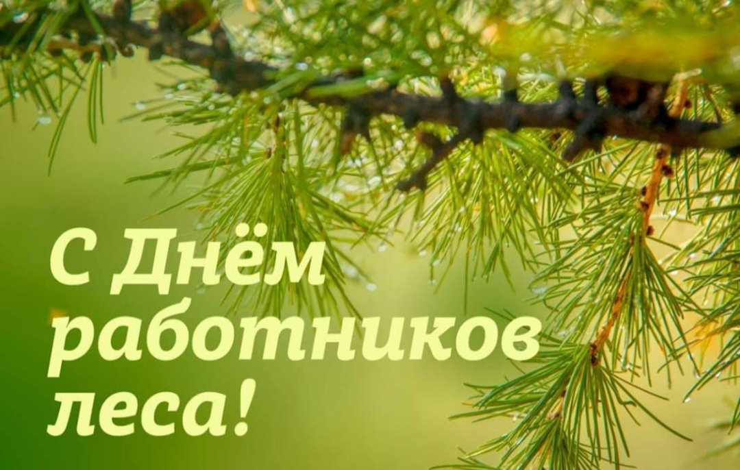 Открытки работника леса, день рождения крымско