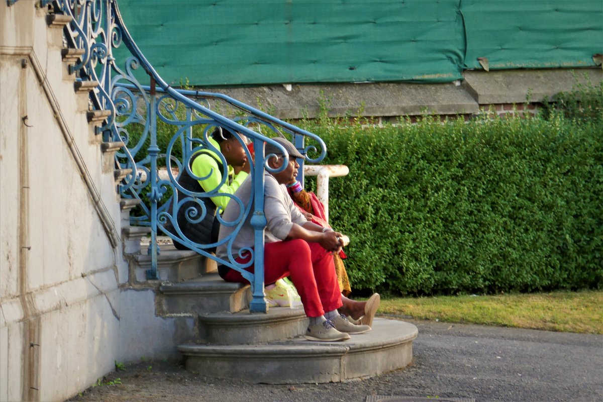 De Dwarslat tweet media