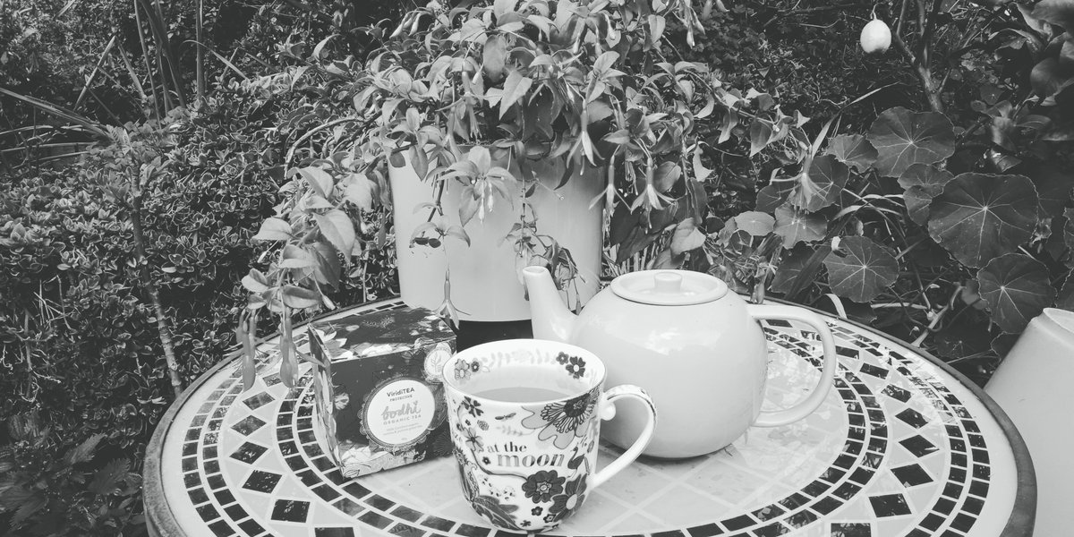 LareenNewman's tweet image. Perfect Sunday morning :)
Such beautiful weather here in Adelaide, many flowers in bloom, 
my faves - the freesias - are out, &amp;amp;  our bees are going nuts in the hive bringing in nectar &amp;amp; pollen. 😊🐝🌸

#beautifulspring
#beekeepers
#SundayThoughts 
#SundayMotivation 
#YumHoney!