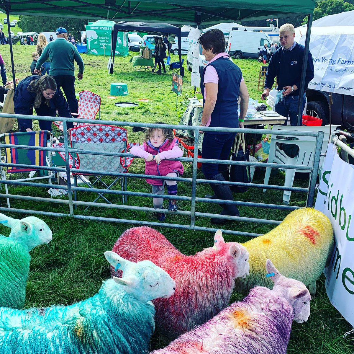 Agronomysilvers's tweet photo. Fantastic day out @HodderShow yesterday plenty to see and do good weather and a few beers cannot go wrong @hodder_showcow #vintagetractors #cattle #hoddervalleyshow #localshow https://t.co/UCvl1PXyYa