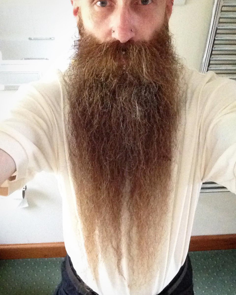 TheBritishBeardClub tweet media