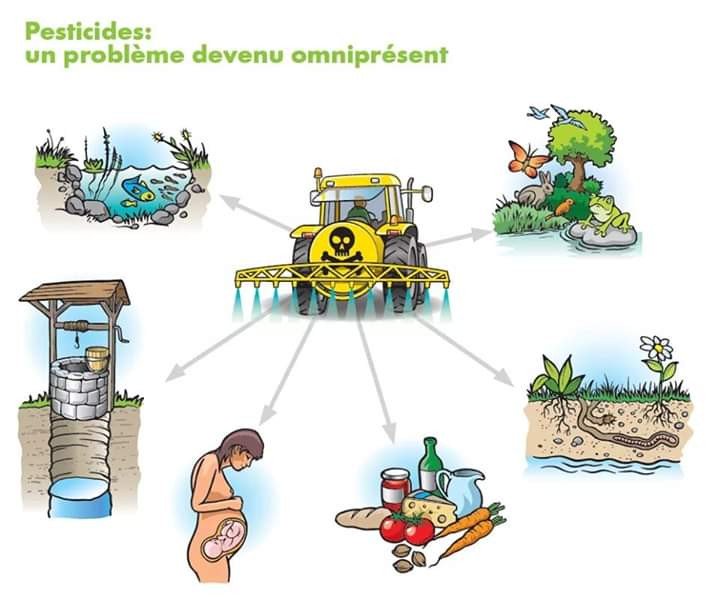 ORGE49570137's tweet photo. Nous avons besoin d'être soutenu pour ce combat contre les pesticides. @ORGE49570137 @OrganicConsumer https://t.co/b7xFBKqNLI