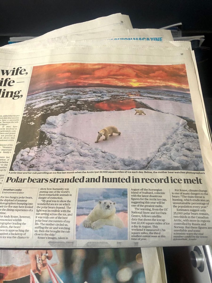wildmanrouse's tweet photo. Thanks @STPictures @Jonathan__Leake for publishing my pictures today and the message about unsustainable polar bear hunting. First big spread too from my @OlympusUK EM1X, #megapixelsdontmatter https://t.co/jwCpBMvyGU