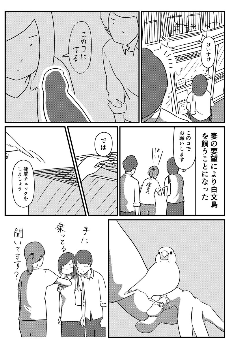 文鳥の名は 