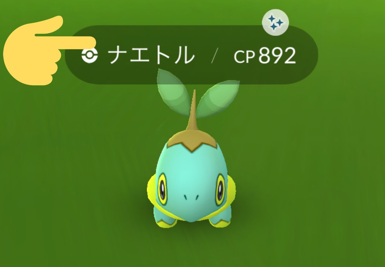 ゆーちゃん え ナイトル じゃなくて ナエトル だから Wwww ナイトル で検索したら出てきたみたいw ポケモンgo ナエトル T Co Gw9dztavcj Twitter