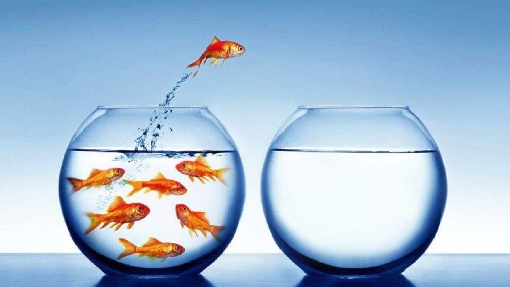 Business Woman Media tweet media