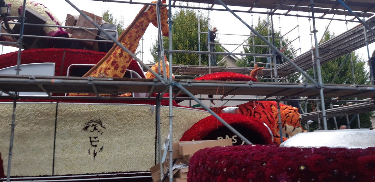 corsokompas's tweet photo. Al weer een week geleden, bijna klaar voor vertrek naar het Kloosterplein!!#valkenswaard https://t.co/kCr2mRhOFW