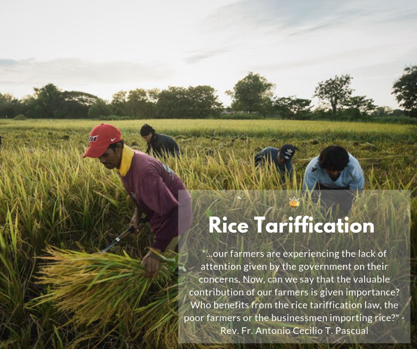 colosas_co's tweet photo. Farmers provide us food more than three times a day, we need them! Let us promote unity to uplift the rights of the Filipino Farmers #StandWithTheFarmers #WalkWithCulture
 
 image source: https://t.co/wcUhDExzY5
 
 article: https://t.co/2MmwPHn6K6 https://t.co/MSm53dEnGP