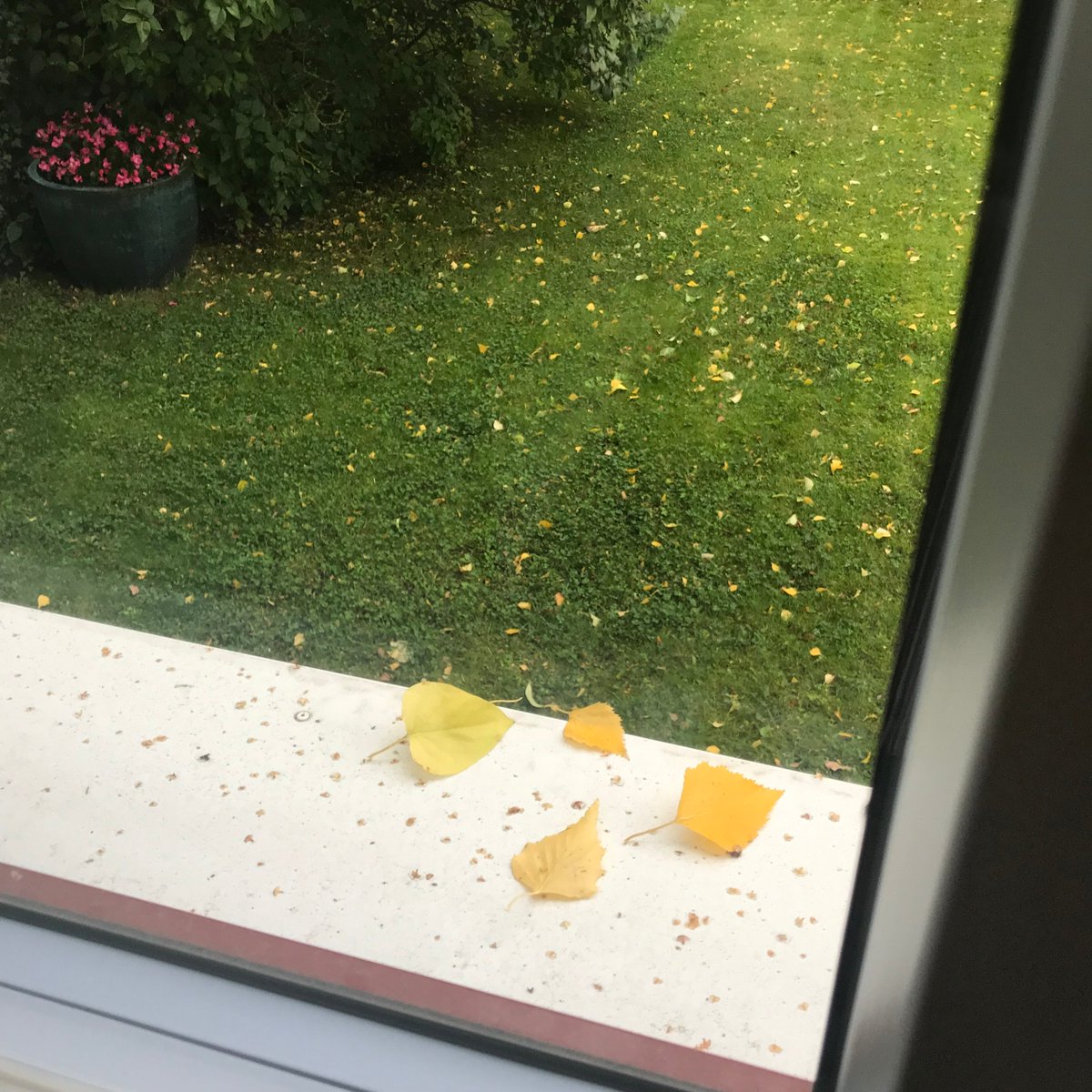 HomeSlakttradet's tweet photo. God släktforskarsöndag! Ute är det höstrusk, passa på och gör ett besök hos oss. Vi har söndagsöppet kl. 12-16, välkommen!
#släktforskning #släktträd #släktträdet #homedeco https://t.co/6ZfYjI6xpp