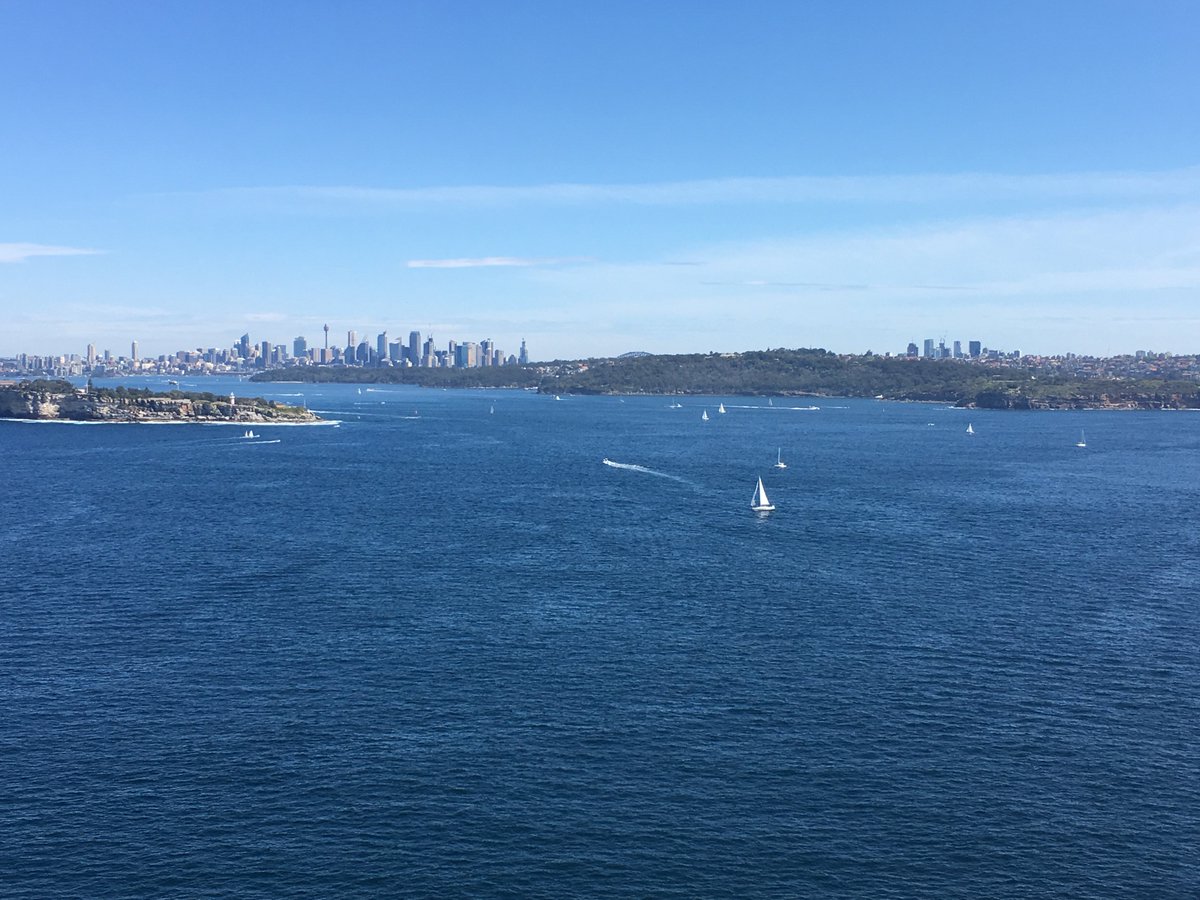 MsMacrophage's tweet photo. I can’t thank the organizers of #WCI2019  for choosing beautiful Sydney. I can hardly wait to share the #BowdishLab work on how the #aging #microbiome contributes to #inflammation! https://t.co/jh3XC7h6Fw