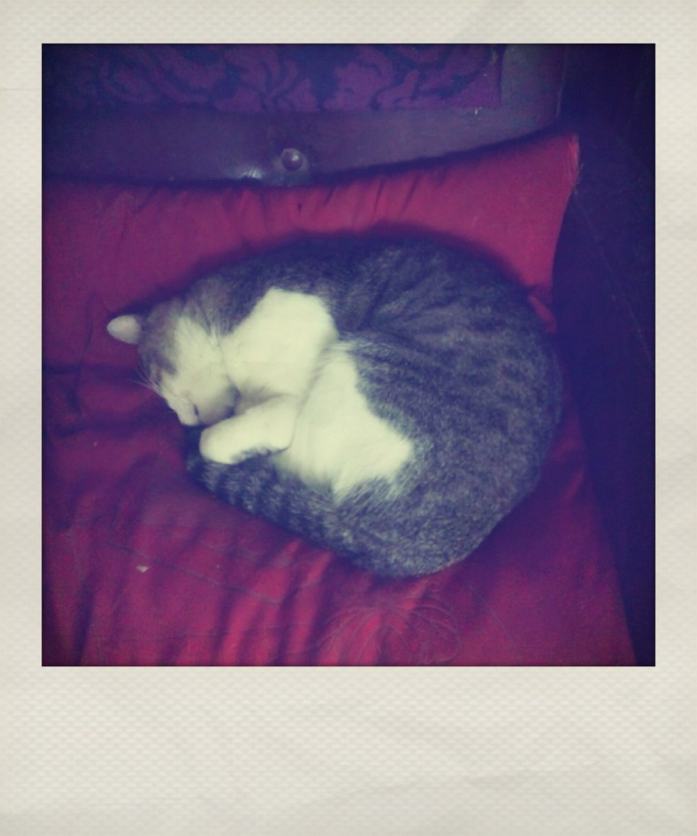 日曜駅にて (@nichiyou_eki) on Twitter photo 