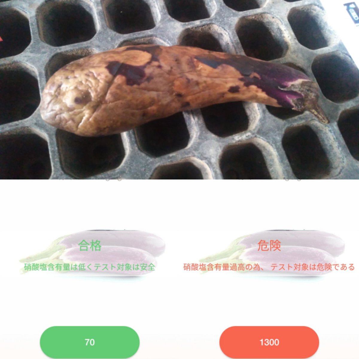 923kuri's tweet photo. [実験]
痛んだナスの硝酸塩を
測ってみました。
標準のナス300mg/kg
まだ紫で食べられそうな部分
70mg/kg
褐色で痛んだ部分
1300mg/kg
痛むことでこんなにも
硝酸塩が増えるんですね。
新鮮なうちに食べましょう！
#Greentest 
#ナス
#冷蔵庫で保存
#硝酸塩 https://t.co/Jto4by1YTs