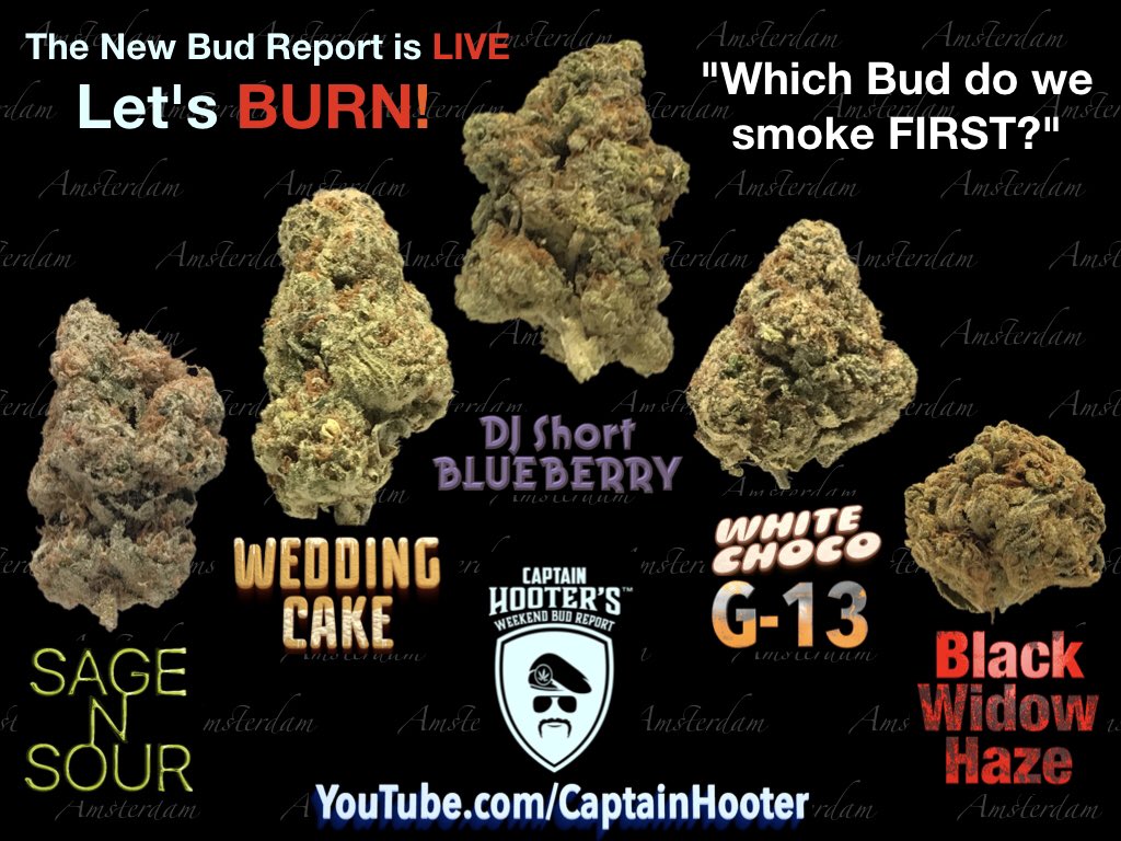 THCaptainHOOTER's tweet photo. A Stoney Sunday... what should we smoke today? Amsterdam Best Coffeeshops Review #39 https://t.co/baQPnW8FXe #Cannabis #Amsterdam #AmsterdamCoffeeshops #WeekendBudReport https://t.co/E465c0NMZ9