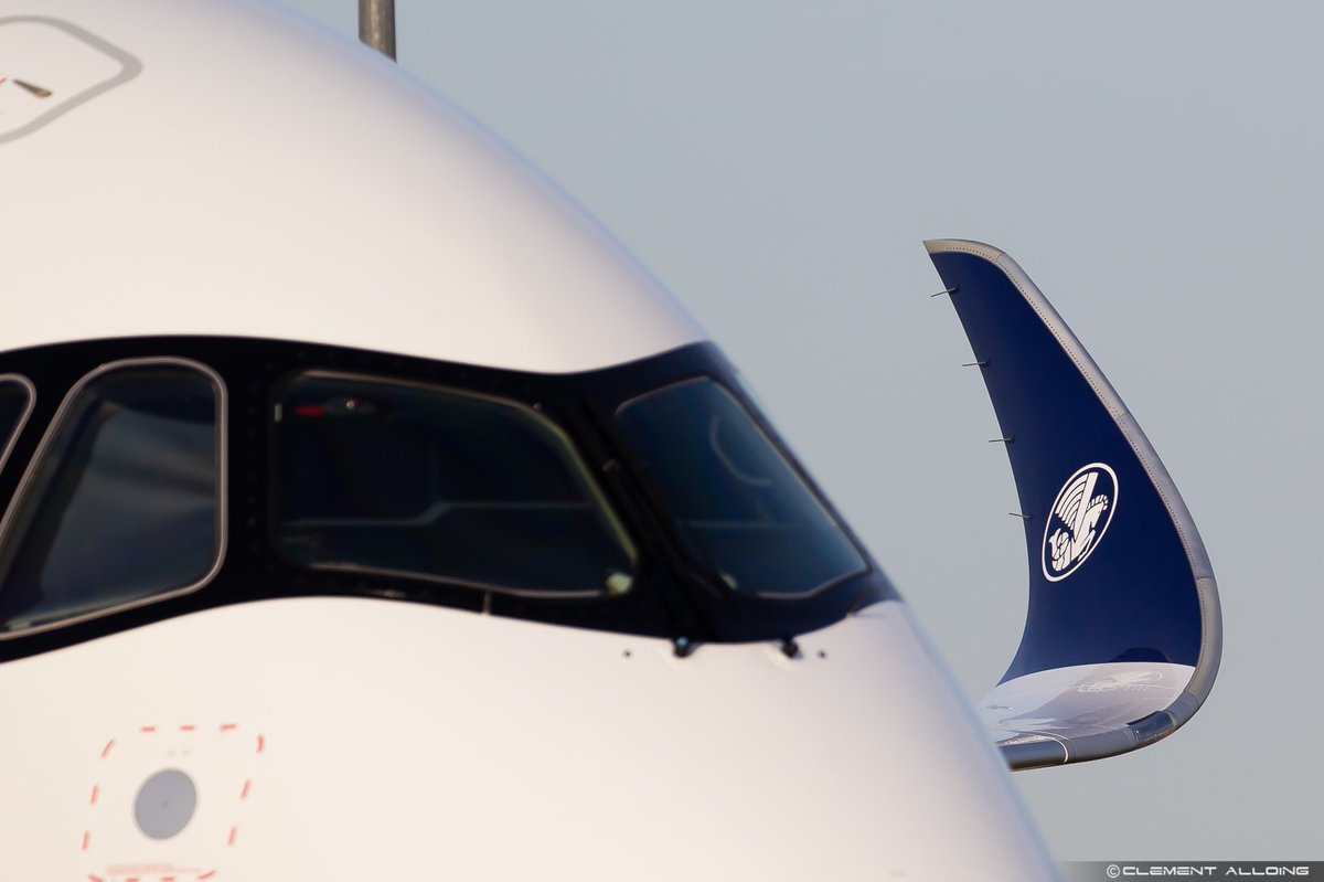 CAlloing's tweet photo. Rencontre avec #AirFrance π«π·π«π· ! First #A350 #FHTYA for @AirFrance performed 4th test flight yesterday afternoon ! #avgeeks #avgeek #Toulouse #Franceintheair @gilleslaurent81 https://t.co/J9CQ1yELjF